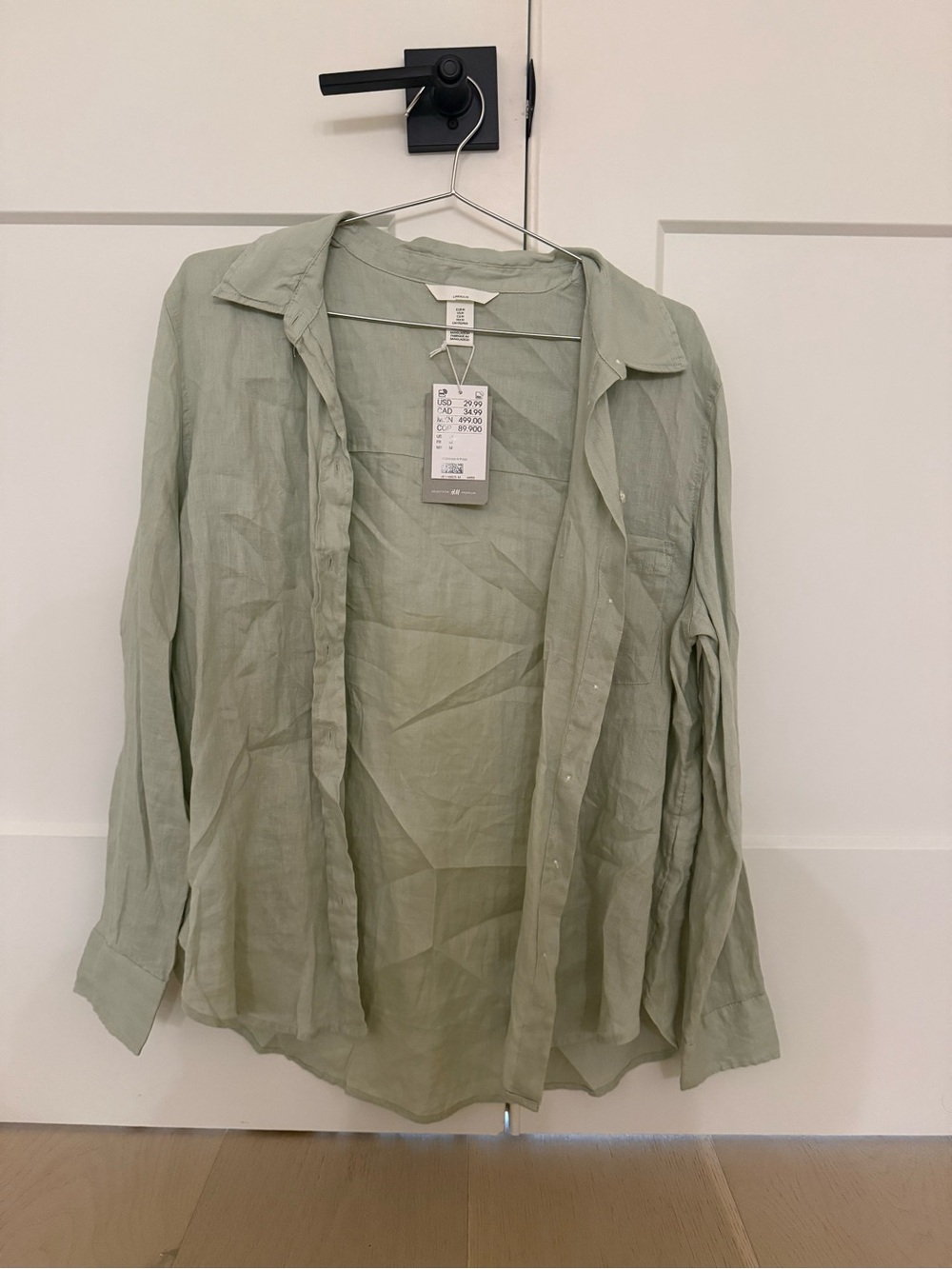 H&M Light Sage Green Sheer Button-Up Shirt